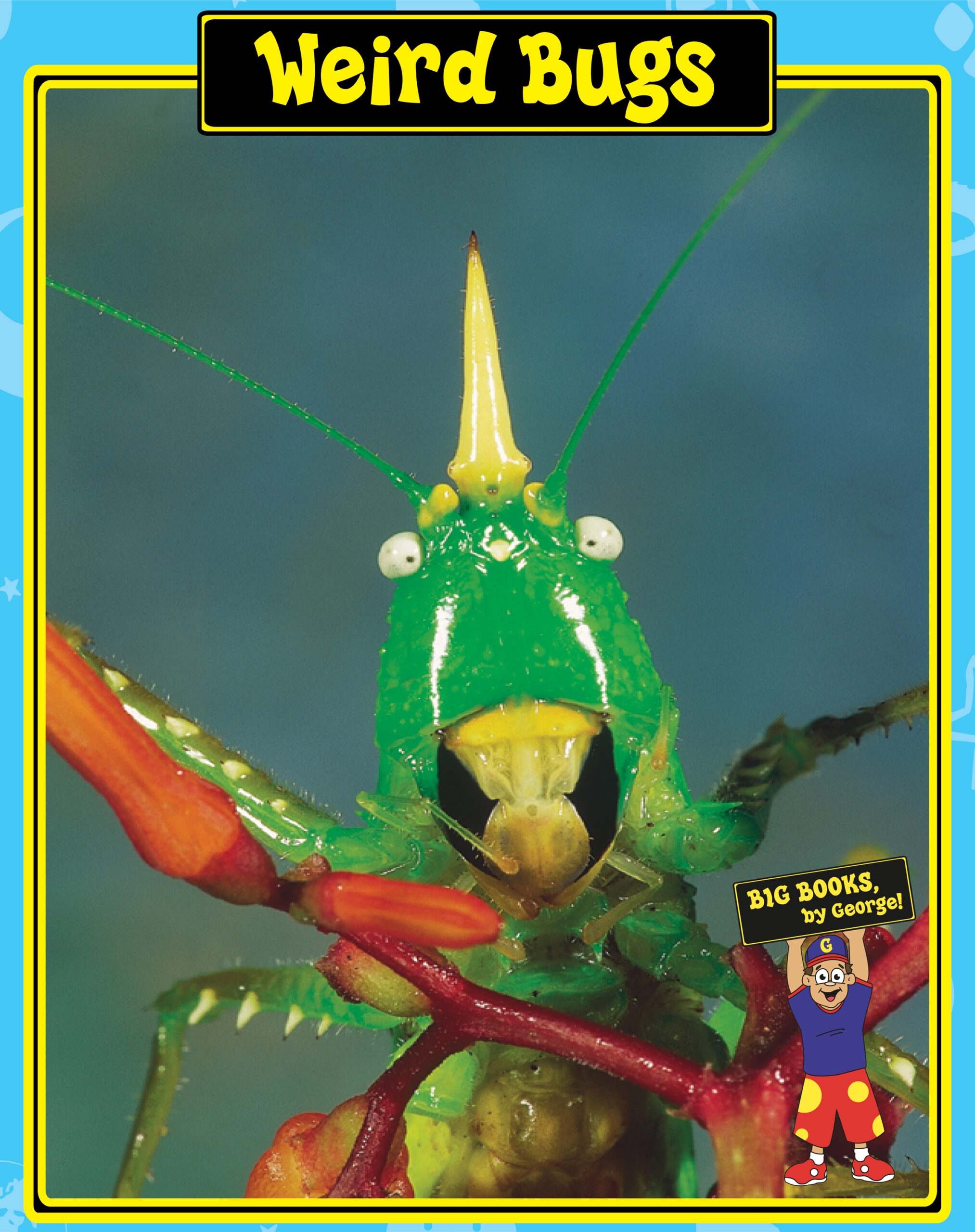 You are currently viewing Weird Bugs