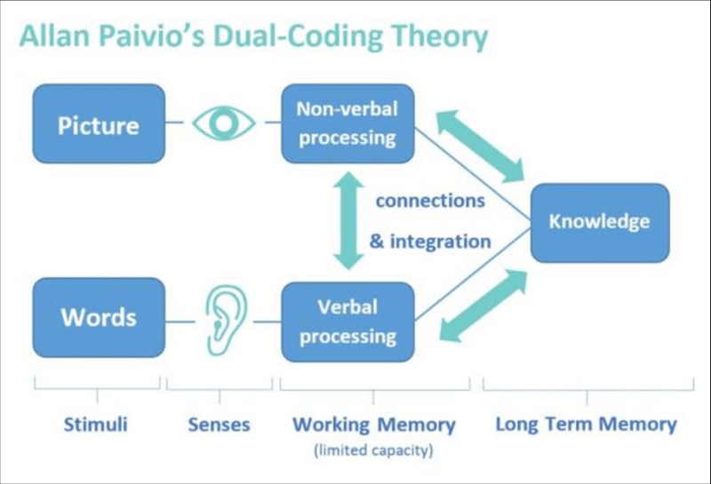 Allan Paivio's Dual-Coding Theory for Cognitive Strategies for Learning